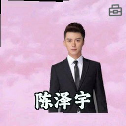陈泽宇